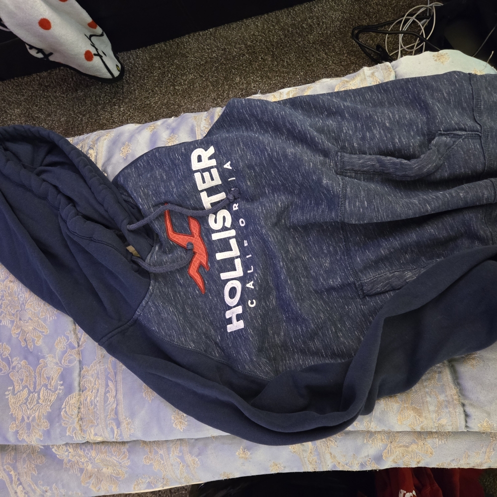 Hollister Men's Blue Hoodie Sweater